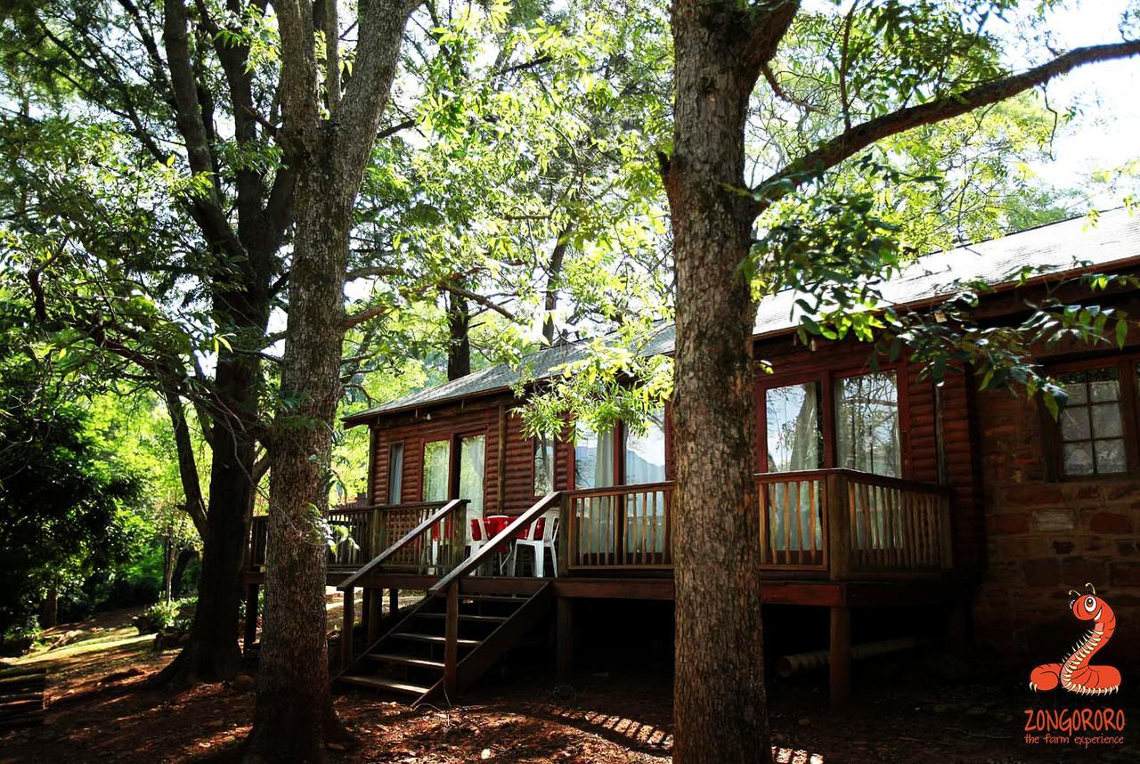 Zongororo Mountain Lodge Waterval-Onder Bagian luar foto